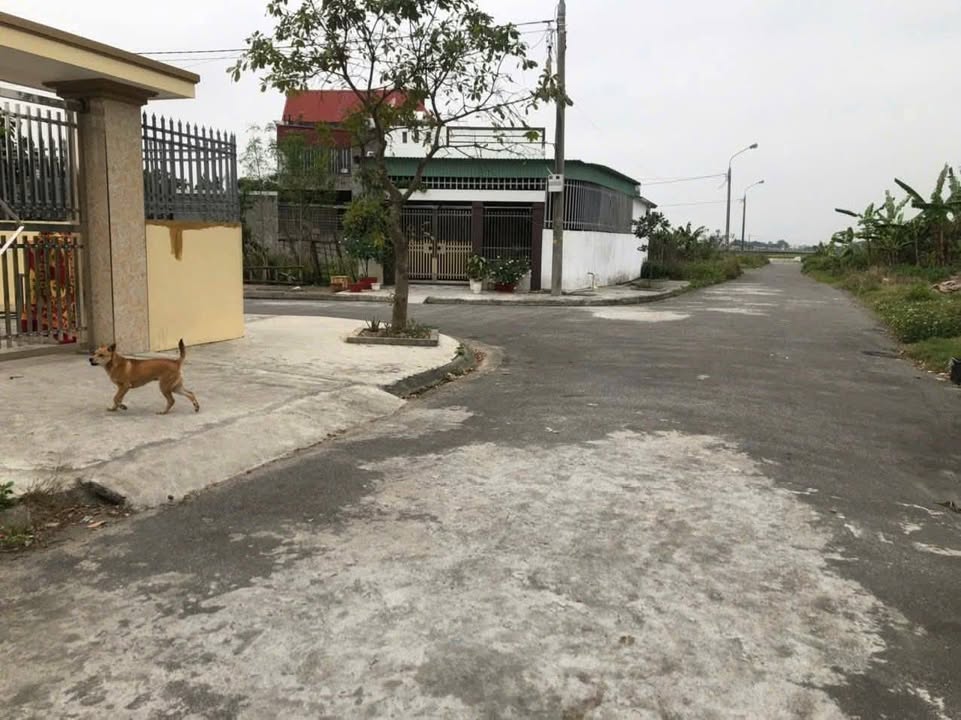 Đất Tái định cư Minh Khai An Lão 139m² giá tốt - Cơ hội đầu tư tuyệt vời!