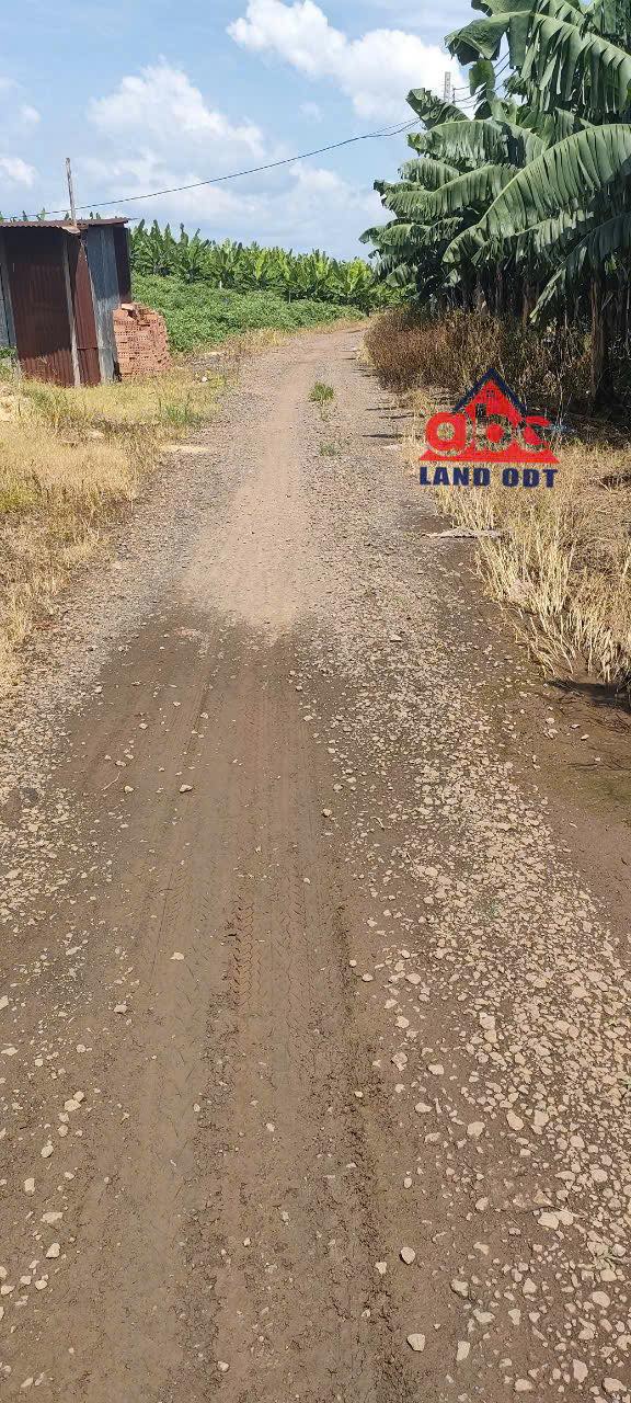 Đất 2 mặt tiền Thanh Bình, Trảng Bom 1000m² giá chỉ 900 triệu - Cần bán gấp!