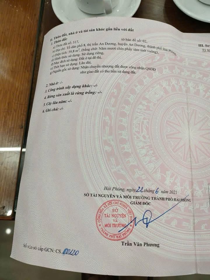 Đất phân lô Tổ 8 Thị trấn An Dương 59m² giá 1.9 tỷ - Đầu tư sinh lời ngay!