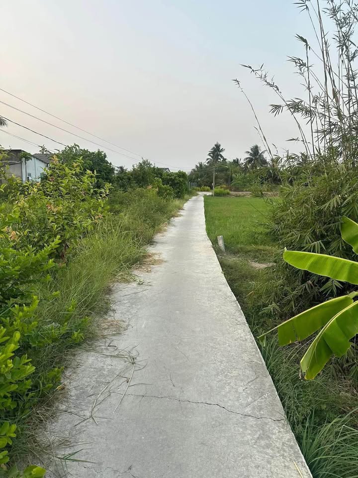 Đất nông nghiệp 14.400m² Nhơn Thạnh Trung, Tân An - Giá chỉ 4.8 tỷ!