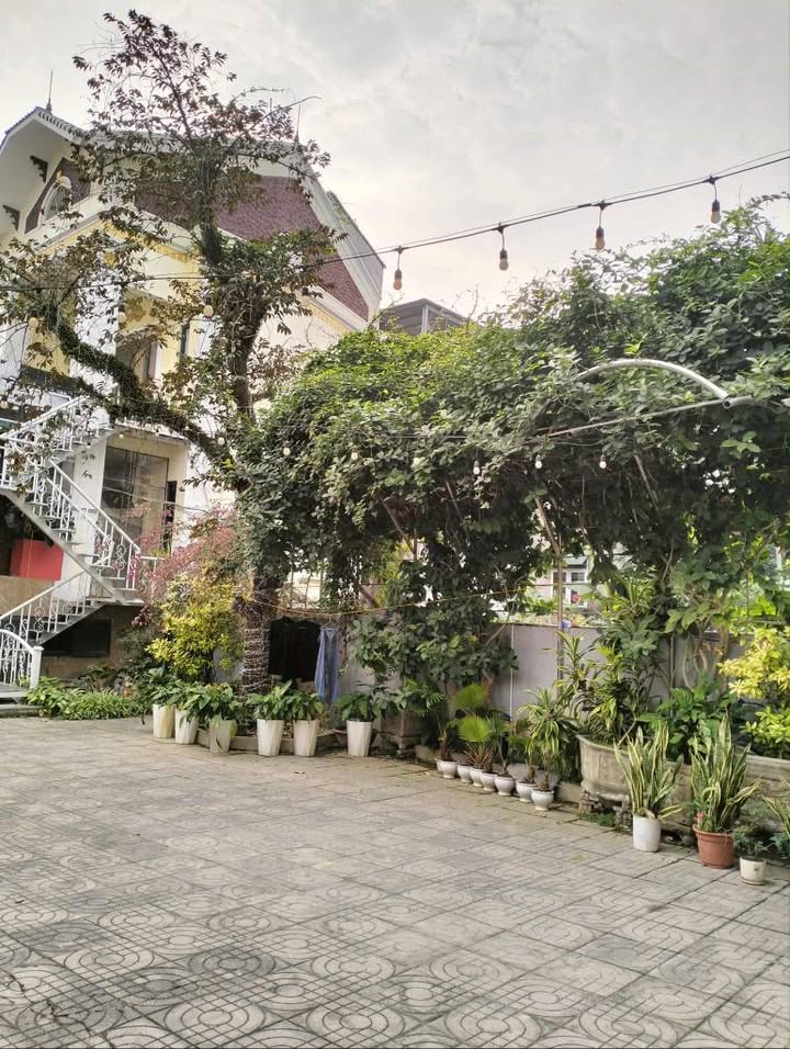 Cho thuê nhà phố tại Tuyên Quang - Nhà 3 tầng mặt tiền 4.5m, thuận tiện kinh doanh!