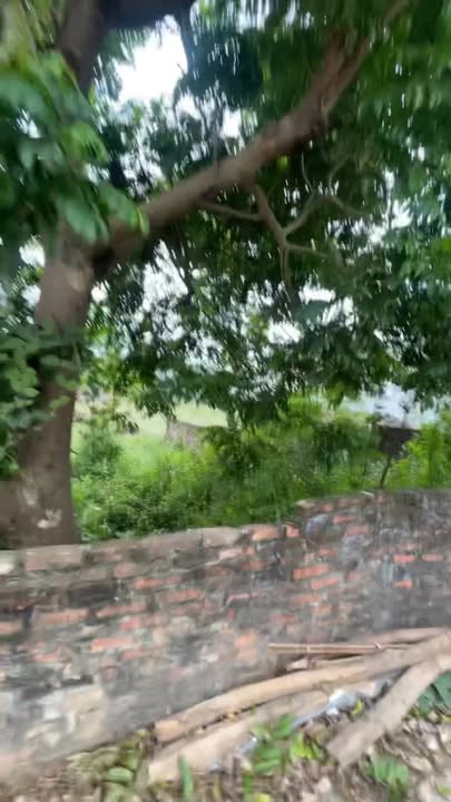 Đất thổ cư 190m² tại Cao Minh, Phúc Yên - Giá chỉ 2 tỷ, đầu tư sinh lời!