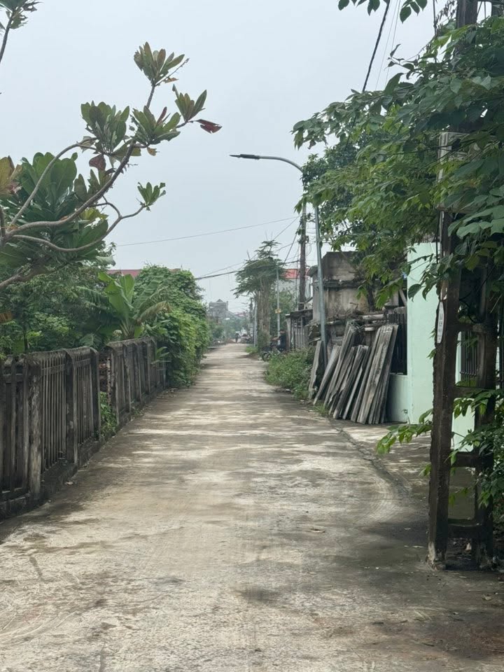 Đất nền Nghĩa An, Nam Trực 246m² giá 8 tỷ - Vị trí đắc địa, cơ hội đầu tư hiếm có!