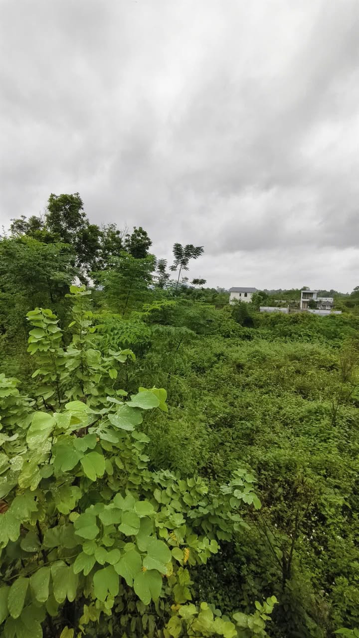 Đất Vàng Cư Yên Lương Sơn 8626m² - Cơ hội đầu tư sinh lời cao!