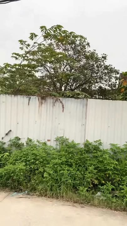 Đất thổ cư 200m² Thạnh Xuân, Q12 - Giá chỉ 13.2 tỷ, đầu tư sinh lời!