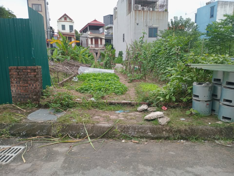 Đất mặt đường Đông Hội Đông Anh 105m² giá 15.5 tỷ - Chính chủ bán gấp!