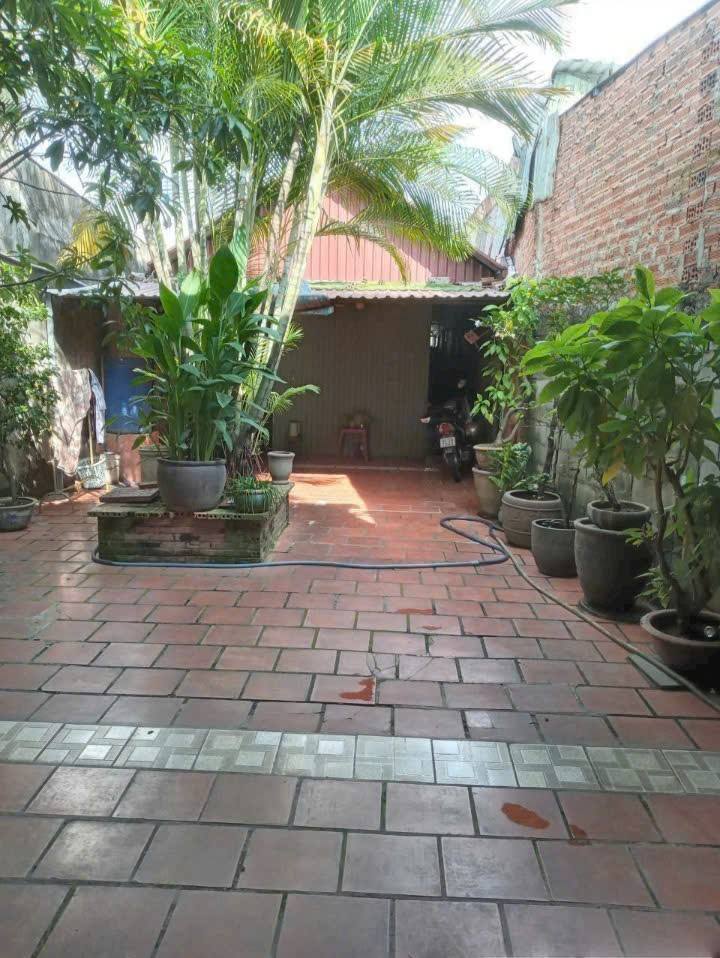 Cho thuê mặt bằng kinh doanh đường Trần Hưng Đạo, Dĩ An 175m² - Giá chỉ 11 triệu!