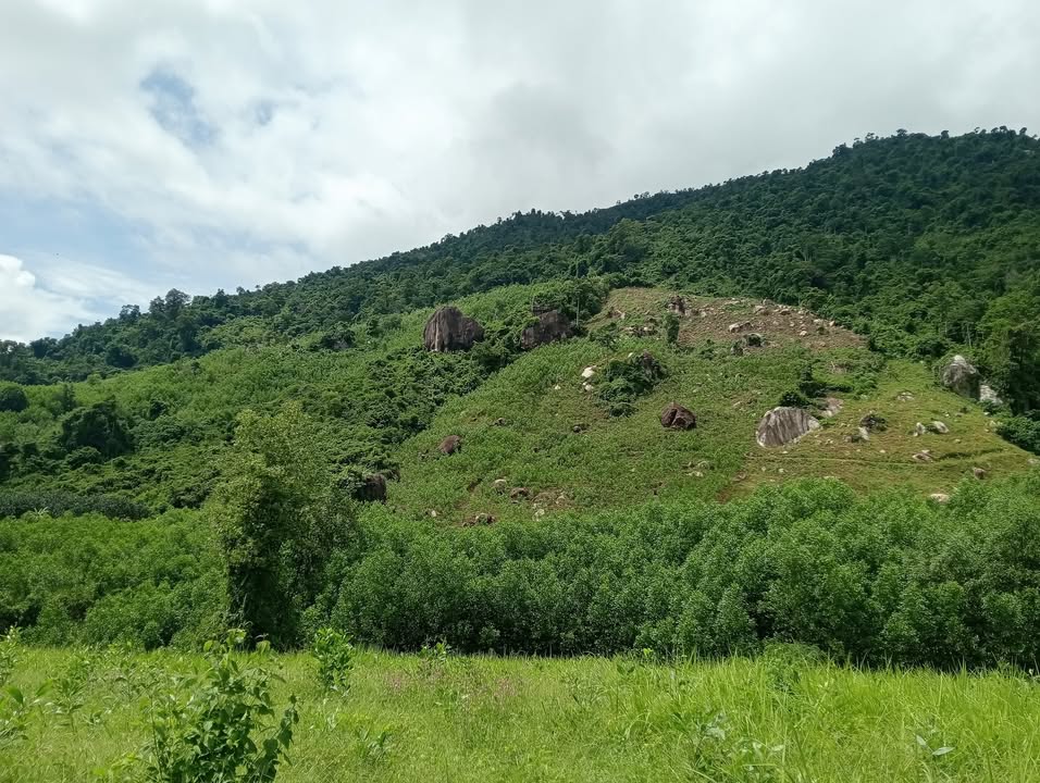 Đất nông nghiệp Khánh Trung 3.7ha giá chỉ 1.3 tỷ - Cơ hội đầu tư hấp dẫn!