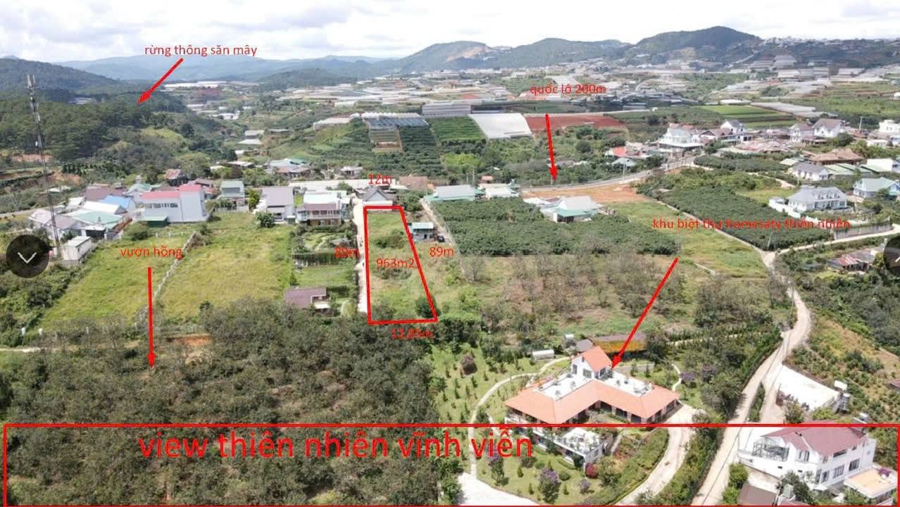 Đất nền Xuân Thọ Đà Lạt 963m² giá 11.5 tỷ - Siêu view thung lũng tuyệt đẹp!