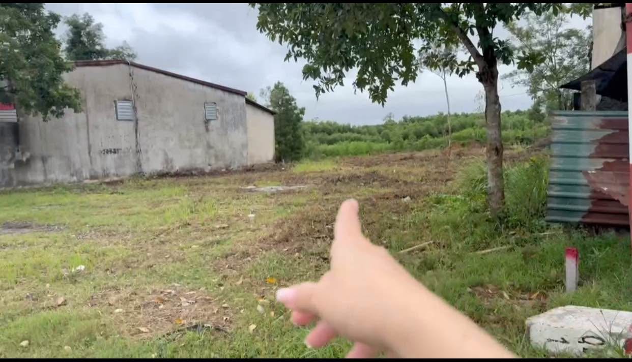 Đất mặt tiền kinh doanh QL1A, Phường Phong Điền, Huế 2744m² - Cơ hội đầu tư sinh lời!