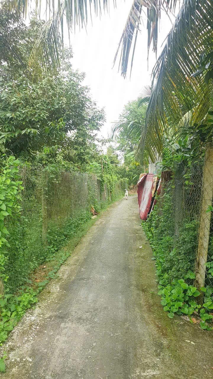 Đất nền Long Khánh, Cai Lậy 50m² giá 430 triệu - Cơ hội đầu tư tuyệt vời!