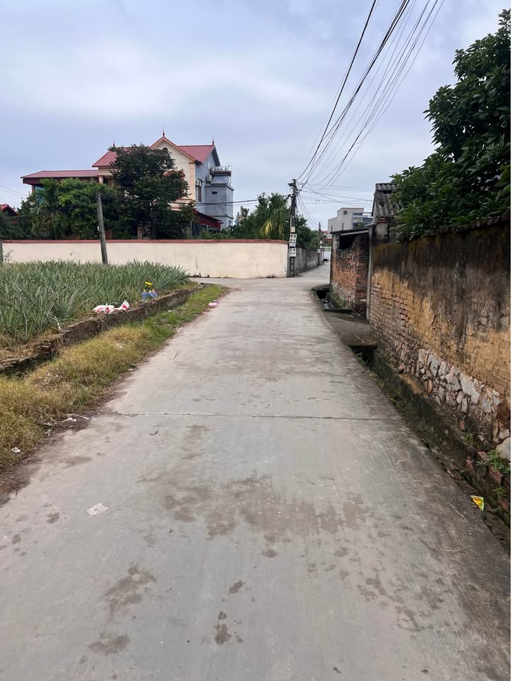 Đất nền Lan Mẫu Lục Nam 100m² giá 1 tỷ - Kinh doanh ngay!