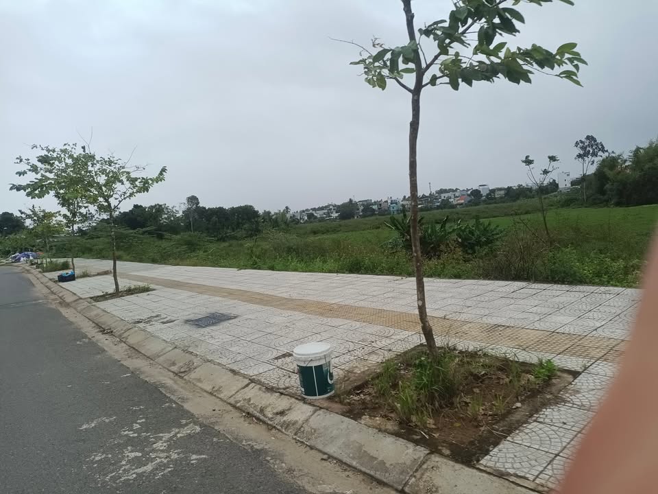 Nhà phố đường Nguyễn Như Đãi, Cẩm Lệ, 165m² giá 3.19 tỷ - Sổ hồng chính chủ!