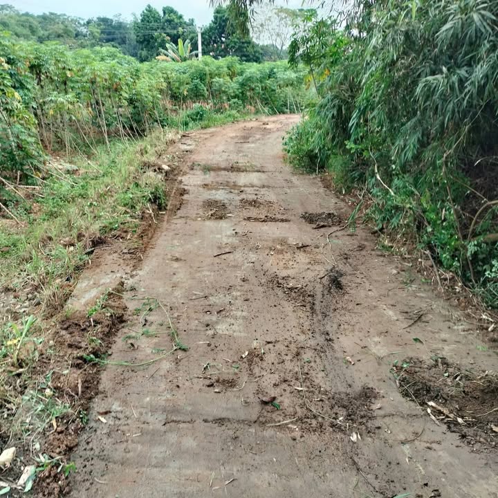 Đất nền Tứ Yên 205m² giá thỏa thuận - Mặt tiền 10m, vị trí đắc địa!