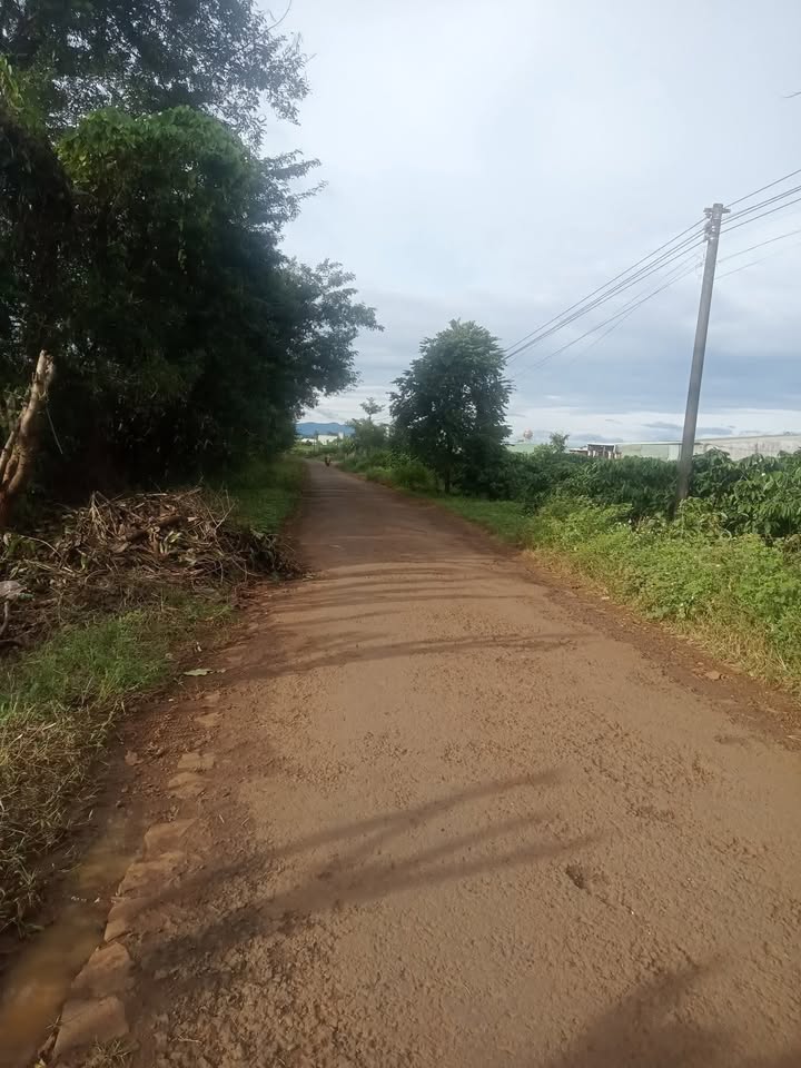 Đất mặt tiền Trương Định, Pleiku 50m² giá 520 triệu - Bán gấp, chính chủ!