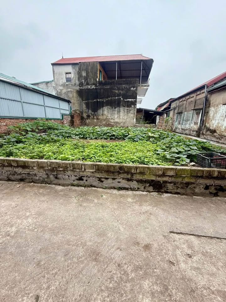 Đất nền Đỗ Xá, Vạn Điểm 115m² giá 3.565 tỷ - Lô góc hai mặt tiền, xe 7 chỗ vào tận nơi!