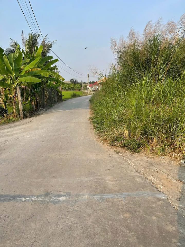 Đất nền khu dân cư Thanh Yến, xã Nhựt Chánh, 142m² giá 1 tỷ - Cơ hội đầu tư tuyệt vời!