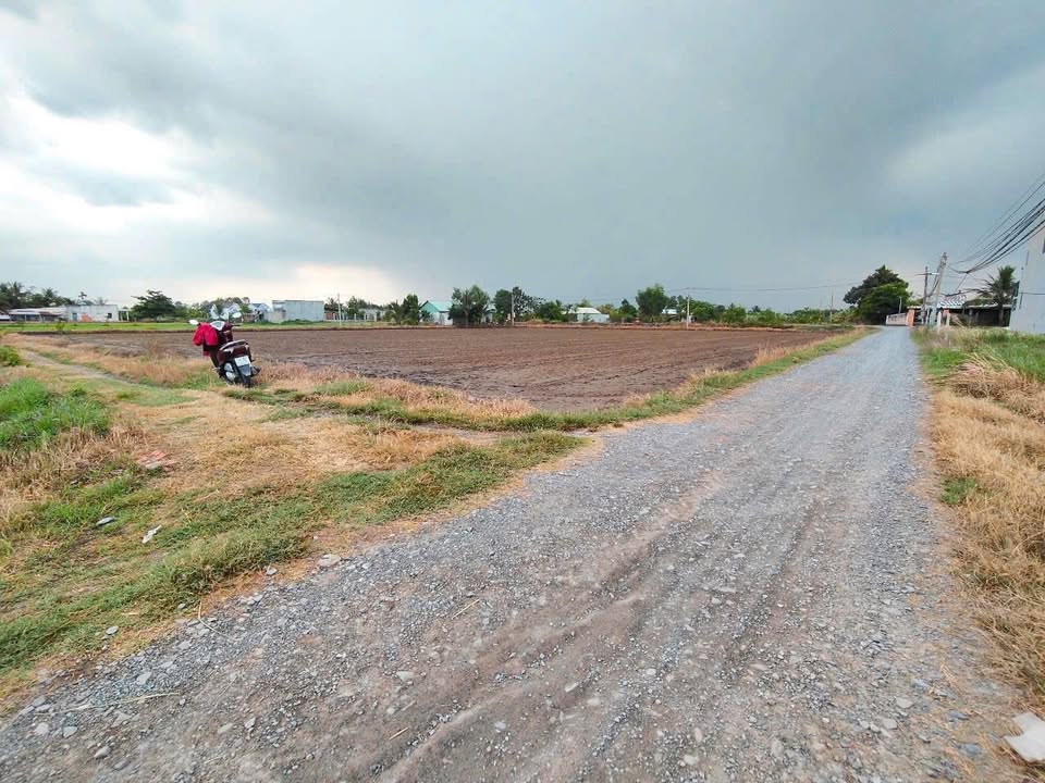 Đất nền Hòa Khánh Đông, Đức Hòa 290m² giá 1.38 tỷ - Sổ riêng, thổ cư 100%!