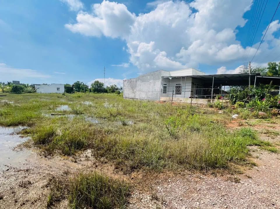 Đất thổ cư Phong Nẫm 110m² giá 550 triệu - Cơ hội đầu tư tuyệt vời!