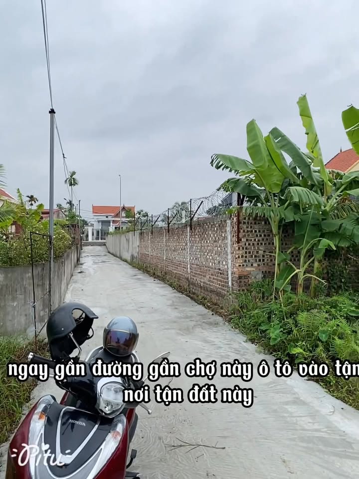 Đất nền đường Thượng Đức, Minh Đức, Đồ Sơn 41m² giá chỉ 700 triệu - Không dính quy hoạch!