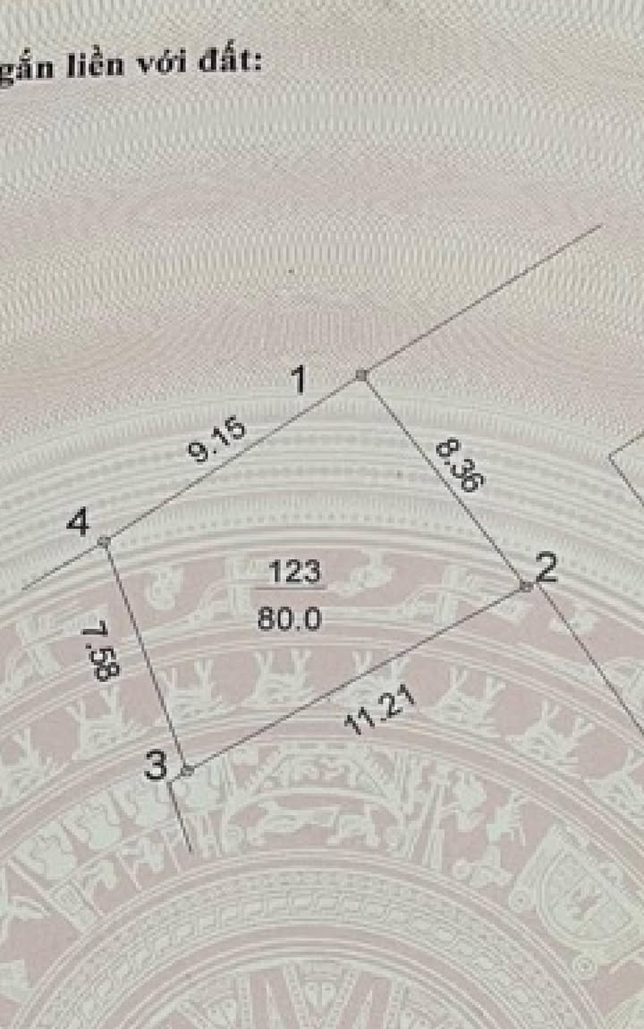 FrontHouse Mễ Trì 100m² giá 21 tỷ - Kinh doanh sầm uất, ô tô tránh nhau!