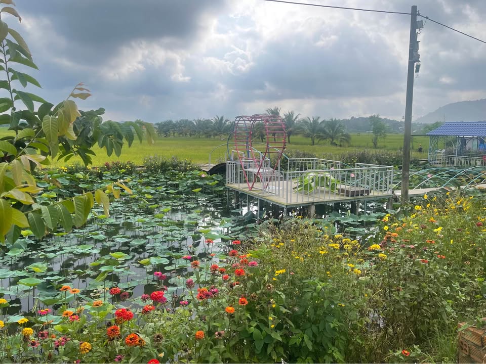 Đất nông nghiệp Lang Minh, Xuân Lộc 3600m² giá 828 triệu - Cơ hội đầu tư hấp dẫn!