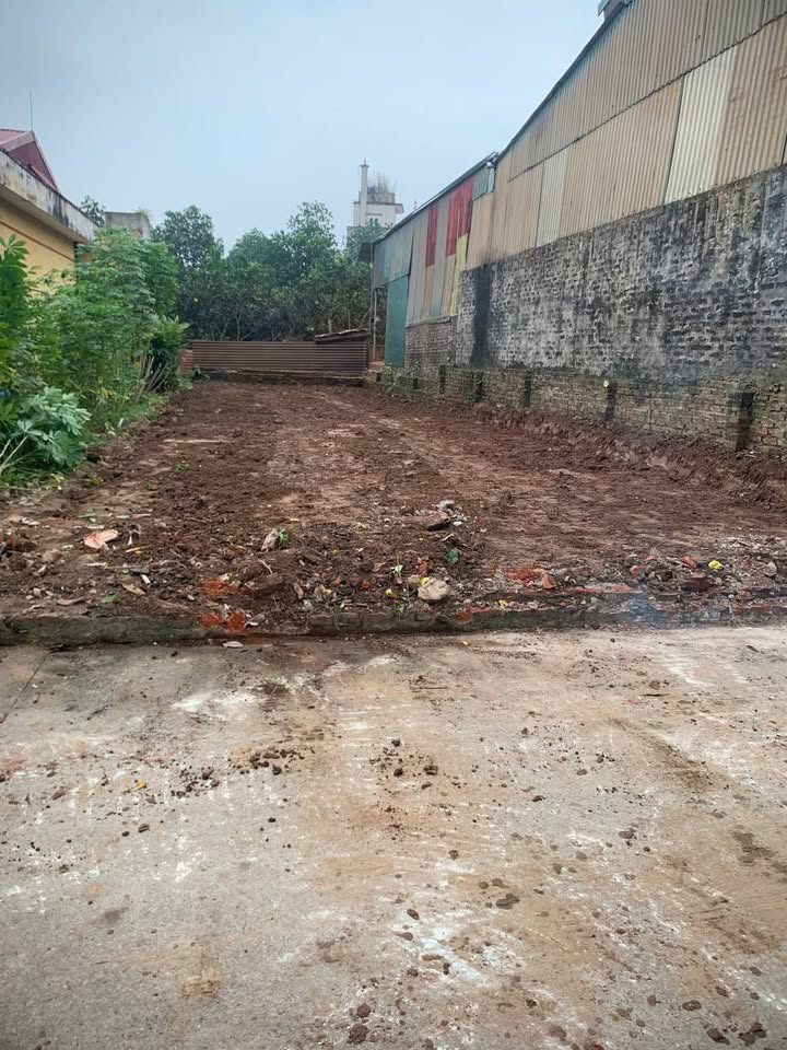 Đất nền khu phố 4, phường Tự Nhiên, 150m² - Giá đầu tư hấp dẫn!