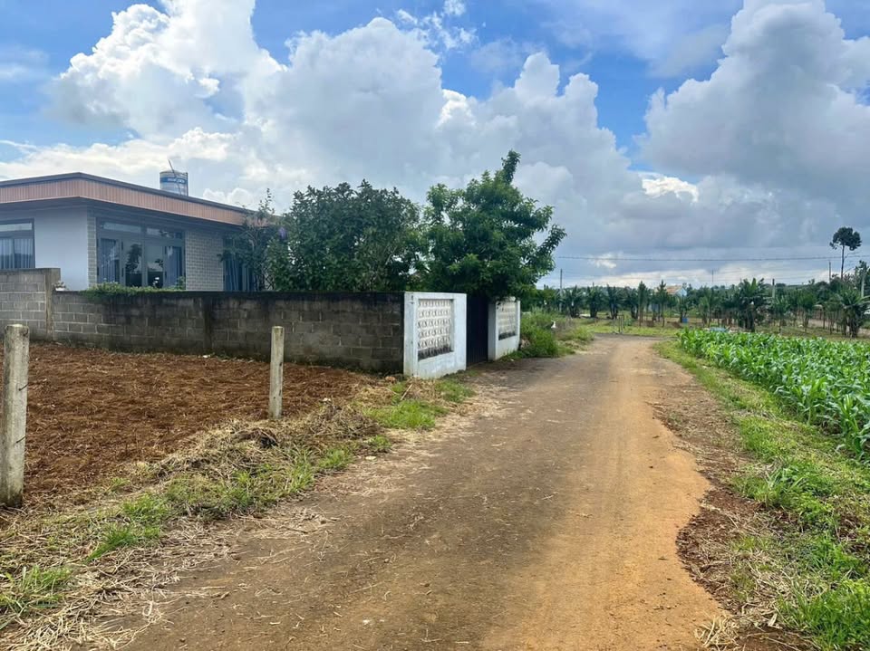 Đất nền 134 Phùng Hưng, Lộc Tiến, Bảo Lộc 220m² - Giá chỉ 1.3 tỷ, đầu tư sinh lời!