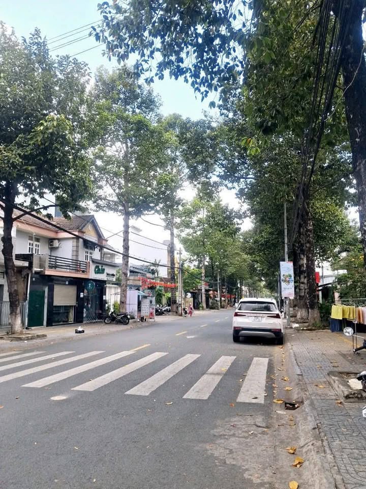 Nhà mặt tiền đường Trương Định, Biên Hòa 312m² giá 26 tỷ - Vị trí kinh doanh sầm uất!