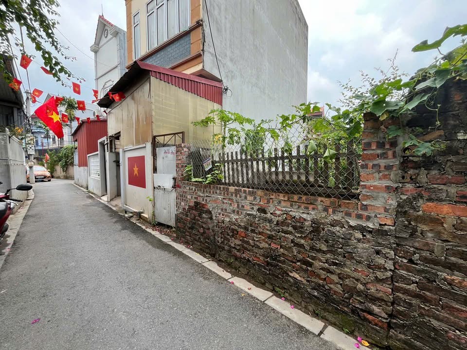 Đất nền thôn Lộc Hà, Mai Lâm, Đông Anh 48,9m² - Vị trí đắc địa đầu tư!