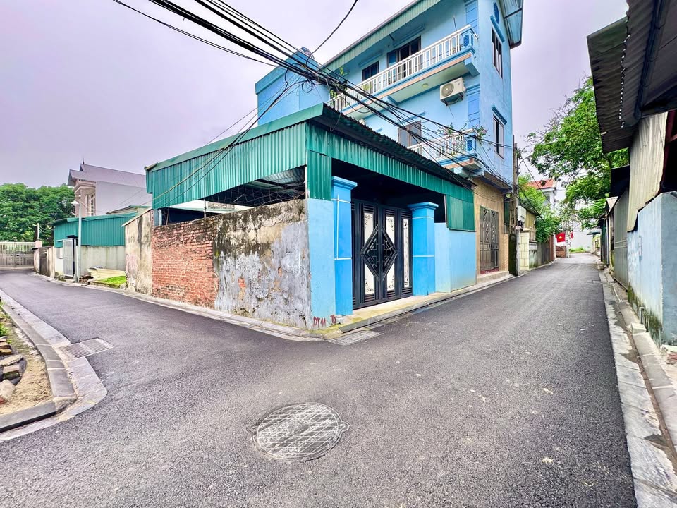 Đất Lương Quy, Thư Lâm, Đông Anh 81m² - Đầu tư sinh lời ngay!