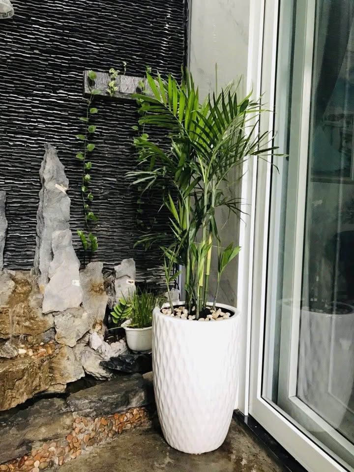 Nhà phố quận 12 91m² giá 4.2 tỷ - Tiện nghi đầy đủ, chính chủ!