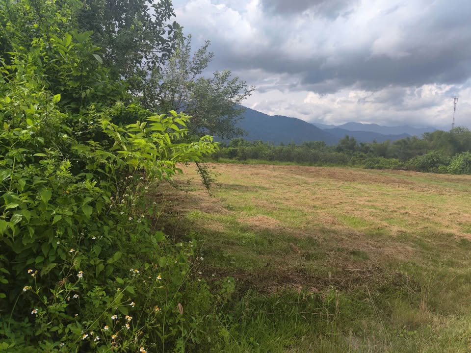 Bán đất Diên Đồng, Diên Khánh 2930m² - Vị trí đắc địa, tiềm năng đầu tư lớn!