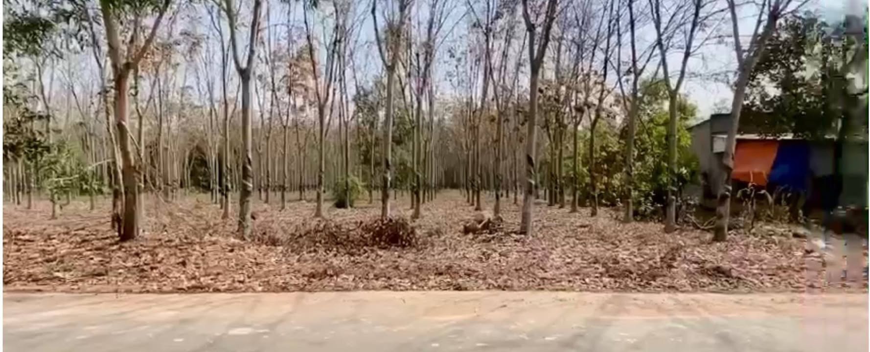 Đất nền Tân Thành 18674m² chỉ 25 tỷ - Cơ hội đầu tư sinh lời!