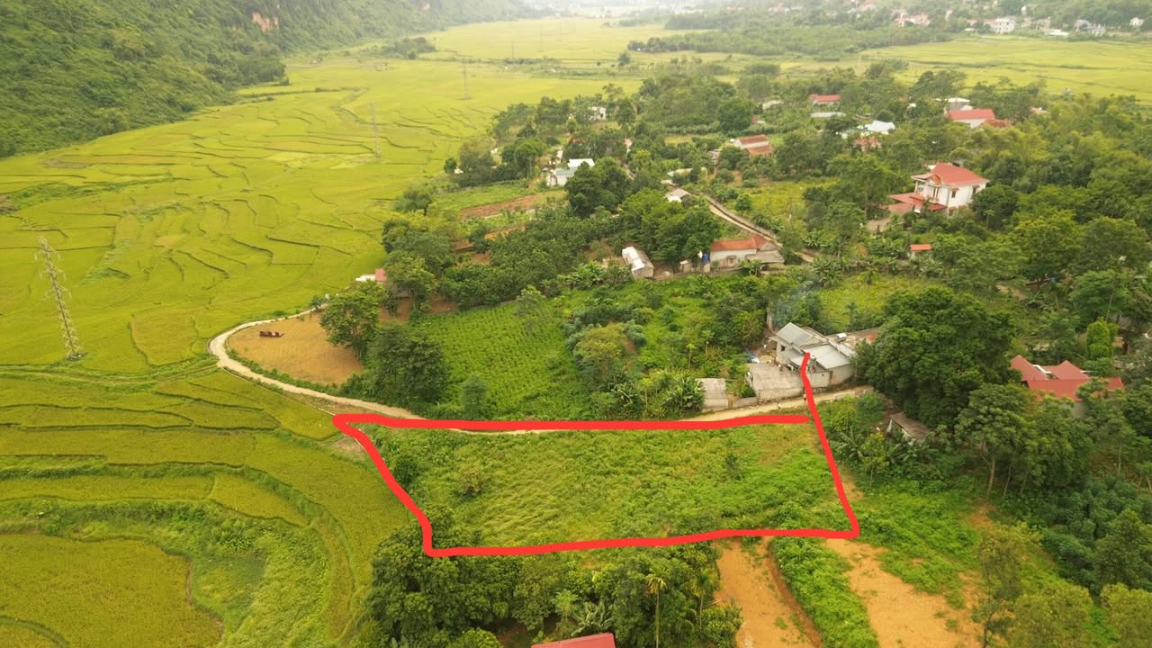 Đất nghỉ dưỡng 1251m² tại Liên Sơn, Lương Sơn - Vị trí đẹp, giá thỏa thuận!