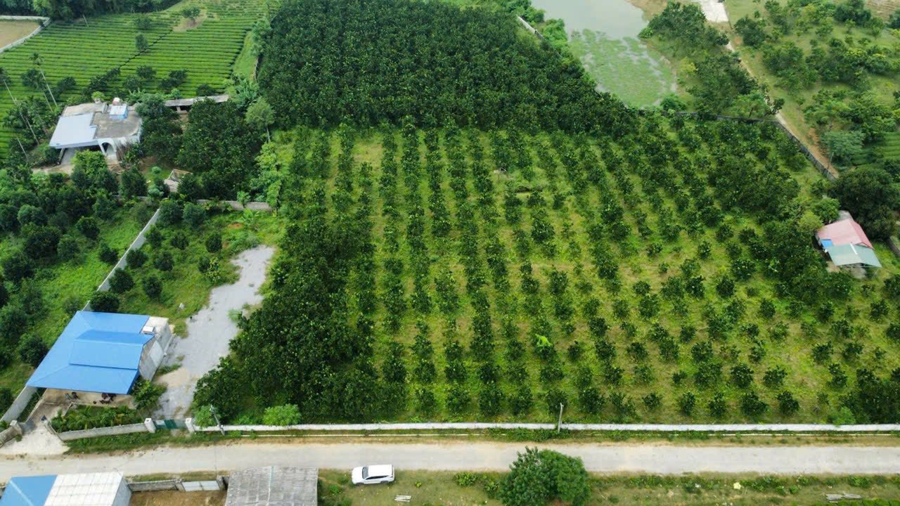 Đất nghỉ dưỡng Phú Thành Lạc Thủy 12000m² - Giá thỏa thuận siêu hấp dẫn!