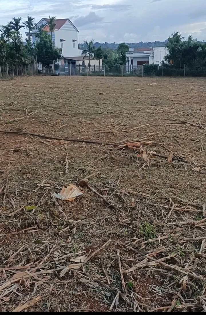 Đất nền Pơng Drang, Buôn Hồ 1680m² chỉ 4.29 tỷ - Cơ hội đầu tư tuyệt vời!