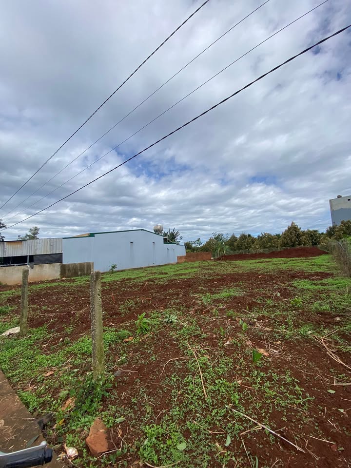 Đất nền Buôn Hồ 777m² giá 1.245 tỷ - Khu dân cư sầm uất, giao thông thuận lợi!