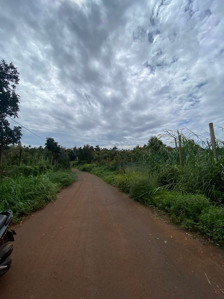 Bán mặt tiền đường Mai Hắc Đế, phường Thiện An, 160m² - Giá chỉ 1.35 tỷ!