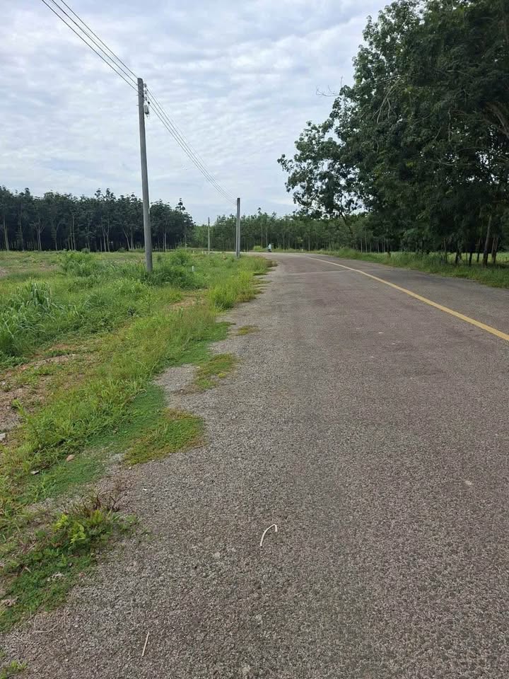 Đất nền Phước Sang 250m² giá chỉ 500 triệu - Đầu tư thông minh ngay hôm nay!