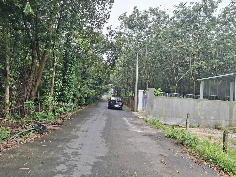 Bán đất Chánh Phú Hòa Thủ Dầu Một 440m² giá 2 tỷ - Đầu tư sinh lời ngay!