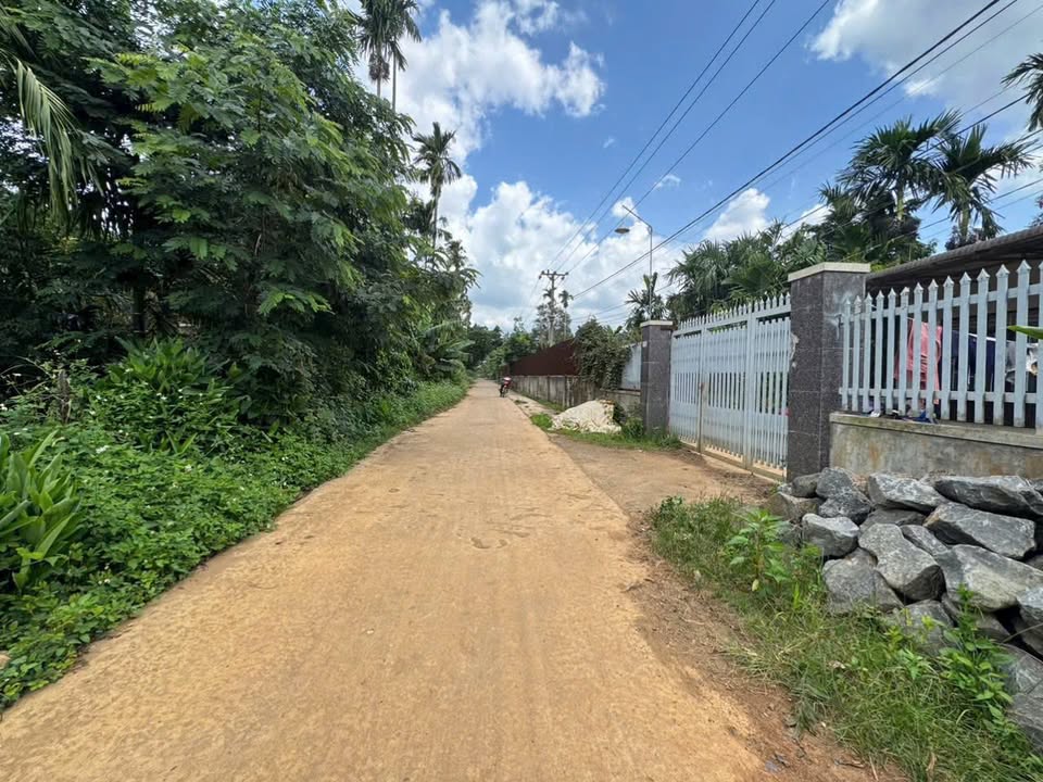 Đất nền thổ cư xã Ea Tiêu 520m² giá 7.28 tỷ - Tiềm năng đầu tư vượt trội!