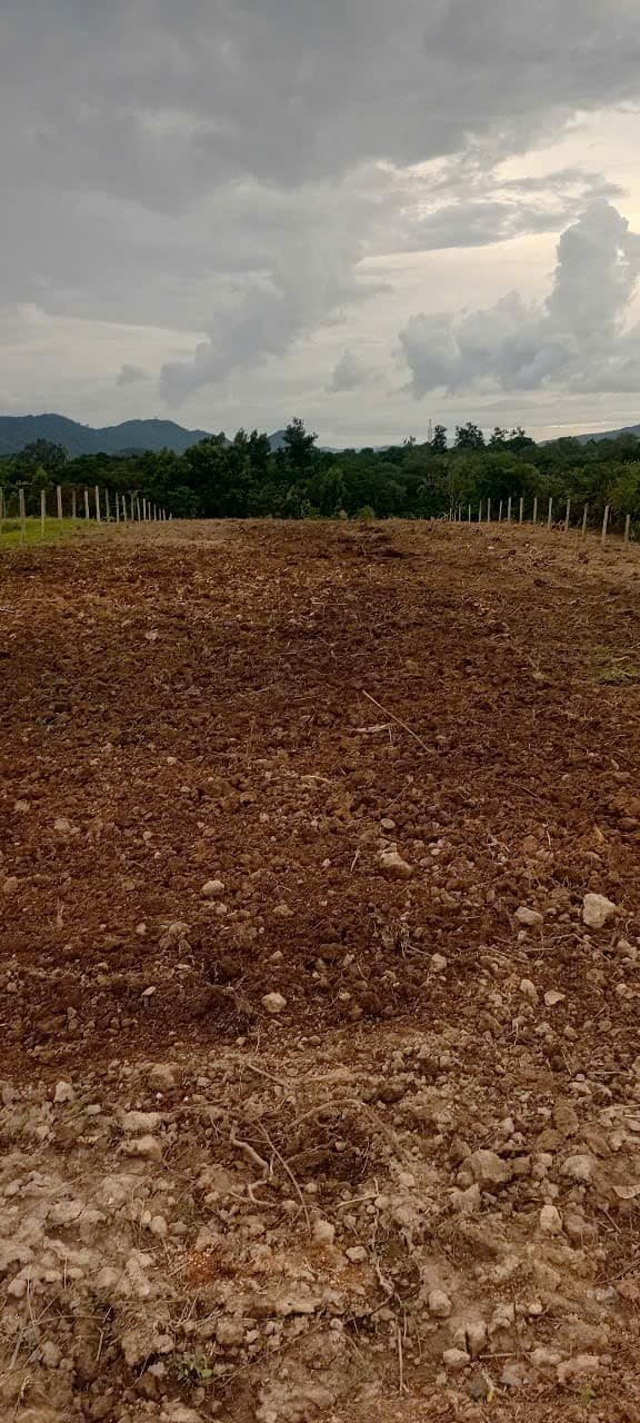 Đất nền 3 sào xã Dray Bhăng, Đắk Lắk - Sổ hồng chính chủ, giá chỉ 800 triệu!