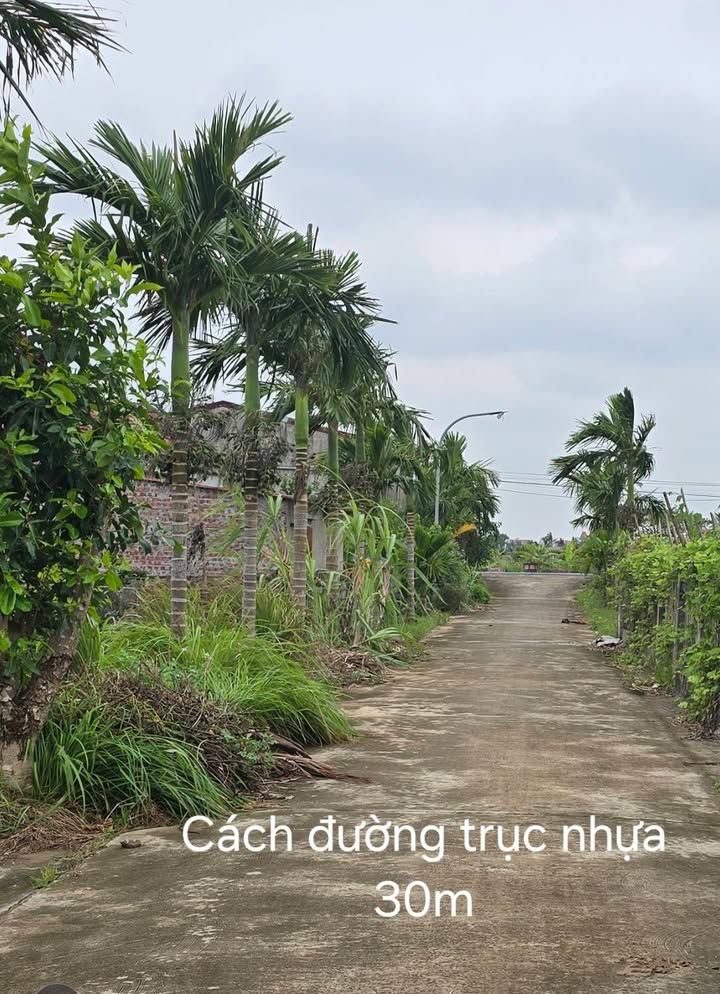 Đất thổ cư xóm 5 Nam Điền 160m² giá 1.18 tỷ - Cơ hội đầu tư sinh lời!