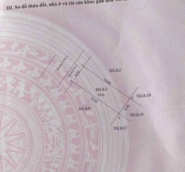 Đất đấu giá Lai Xá Hoài Đức 75m² - Vị trí đẹp, đầu tư sinh lời!