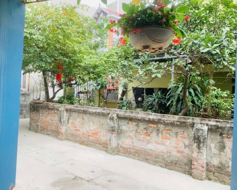 Đất lô góc thôn Kim Hoàng - 60m² giá 6 tỷ - Sổ đỏ chính chủ sẵn sàng giao dịch!