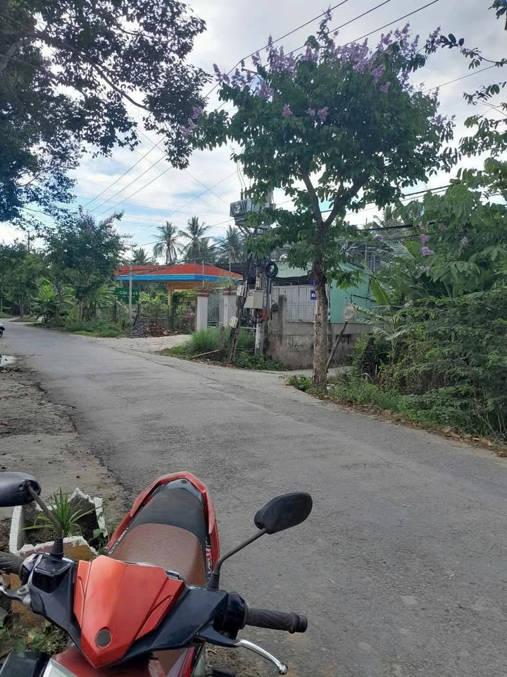 Đất mặt tiền Trương Văn Kỉnh, Trà Vinh 163m² giá 1.55 tỷ - Cơ hội đầu tư tuyệt vời!