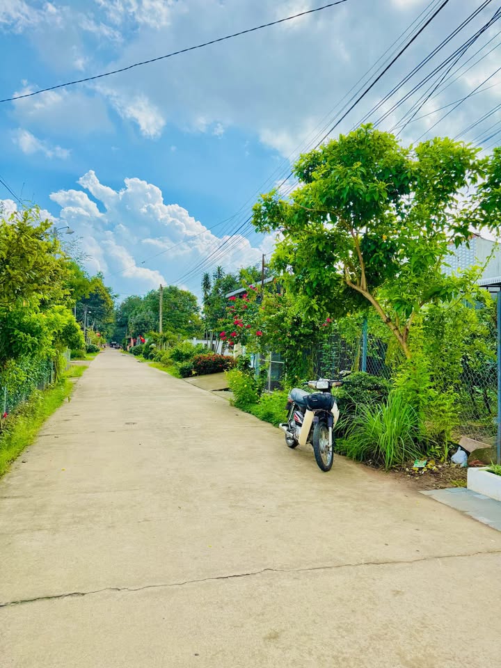 Nhà riêng tại xã Phú Hoà, Định Quán, Đồng Nai 80m² giá 1.35 tỷ - Sẵn sàng ở ngay!