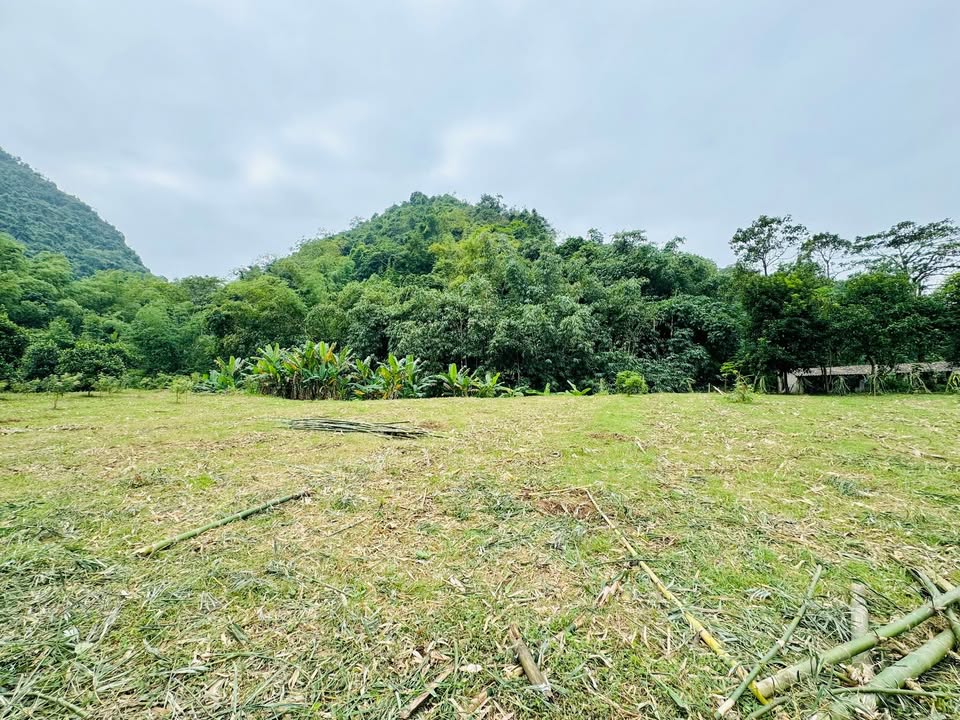 Đất nghỉ dưỡng Kim Bôi Hòa Bình 1000m² - Không gian yên tĩnh, view núi tuyệt đẹp!