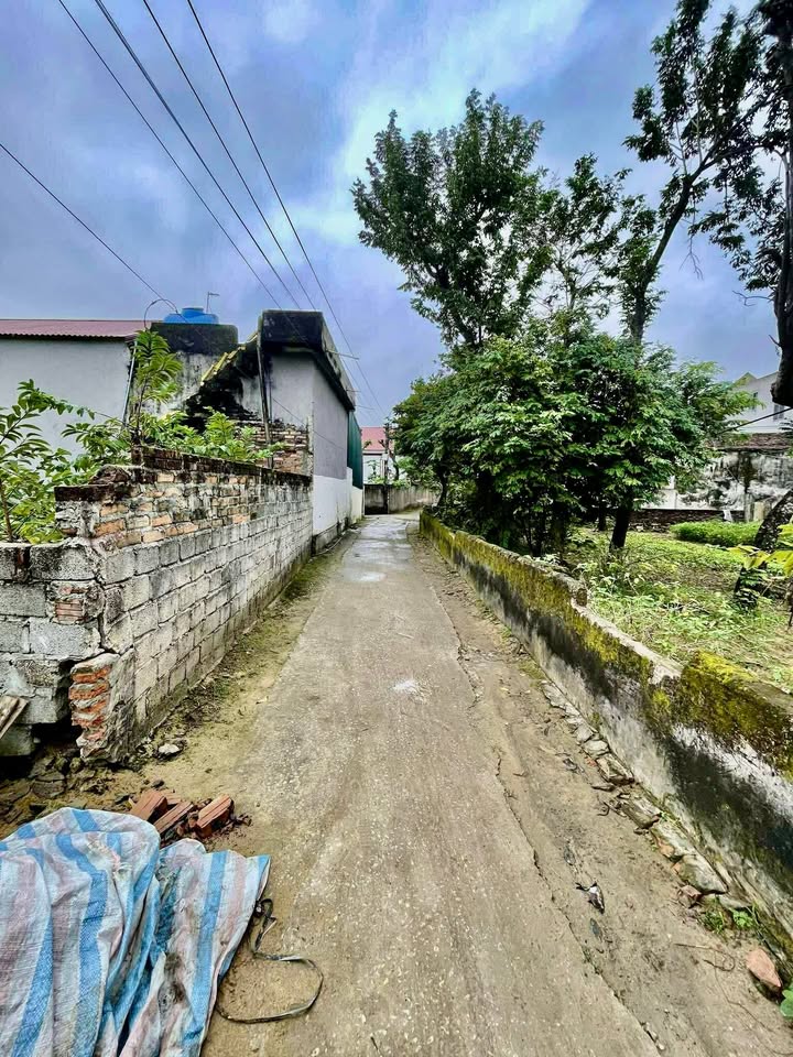 Đất nền Yên Hoà Hưng Lộc 126m² giá 1.3 tỷ - Đầu tư lý tưởng!